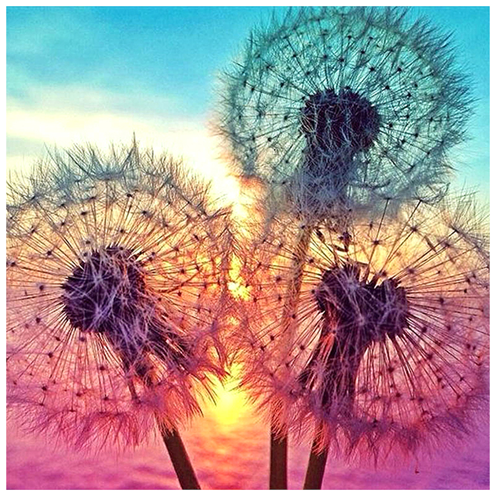 

30*30CM - Square Drill Diamond Painting - Dandelion, 501 Original