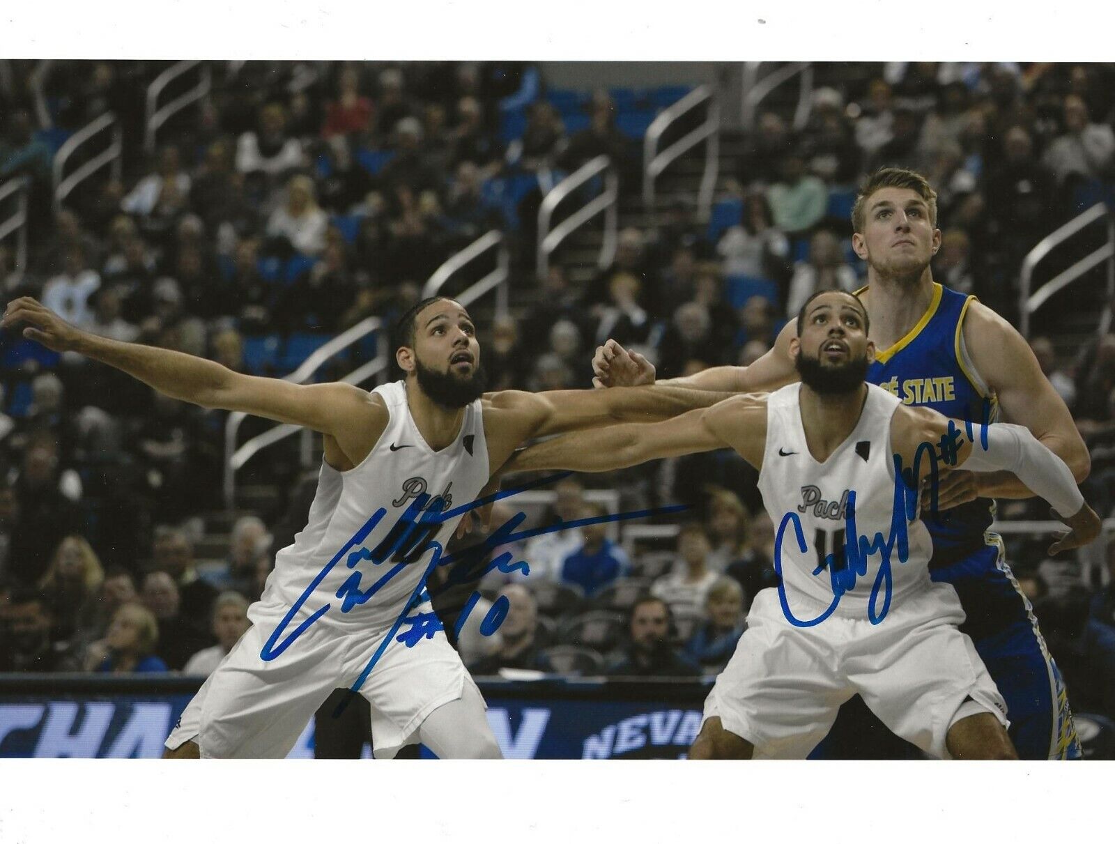 Caleb Martin & Cody Martin signed Nevada Wolf Pack 8x10 Photo Poster painting autographed