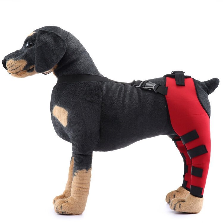 Double Dog Hip Support For Hip Dysplasia For Back Leg Dog Brace With Safety