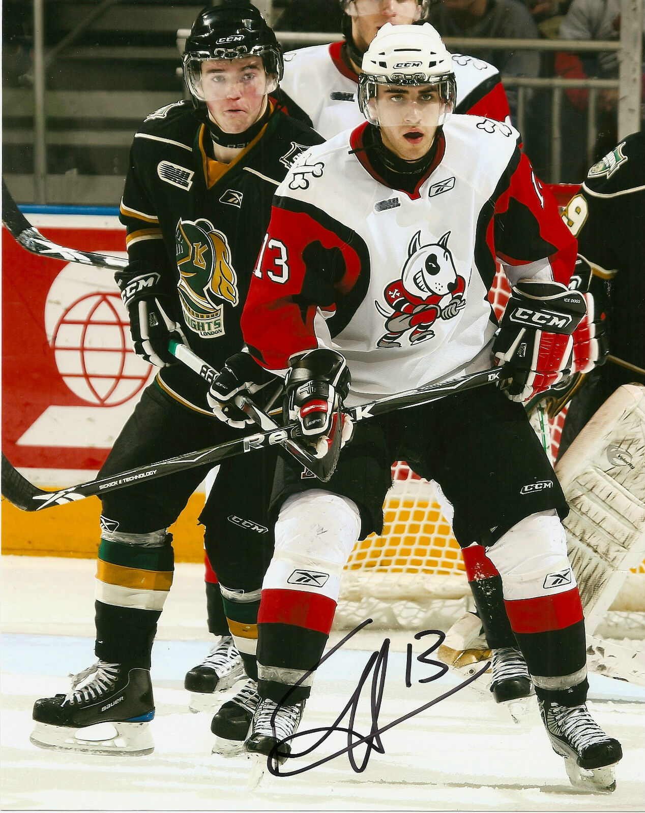 Niagra Ice Dogs / San Jose Freddie Hamilton Signed Autographed 8x10 Photo Poster painting COA