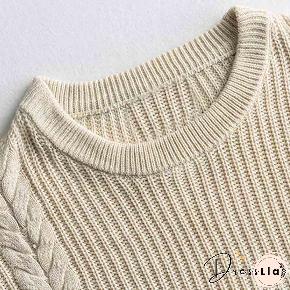 Big Collar Long Sleeve Hemp Pattern Pullover Sweater