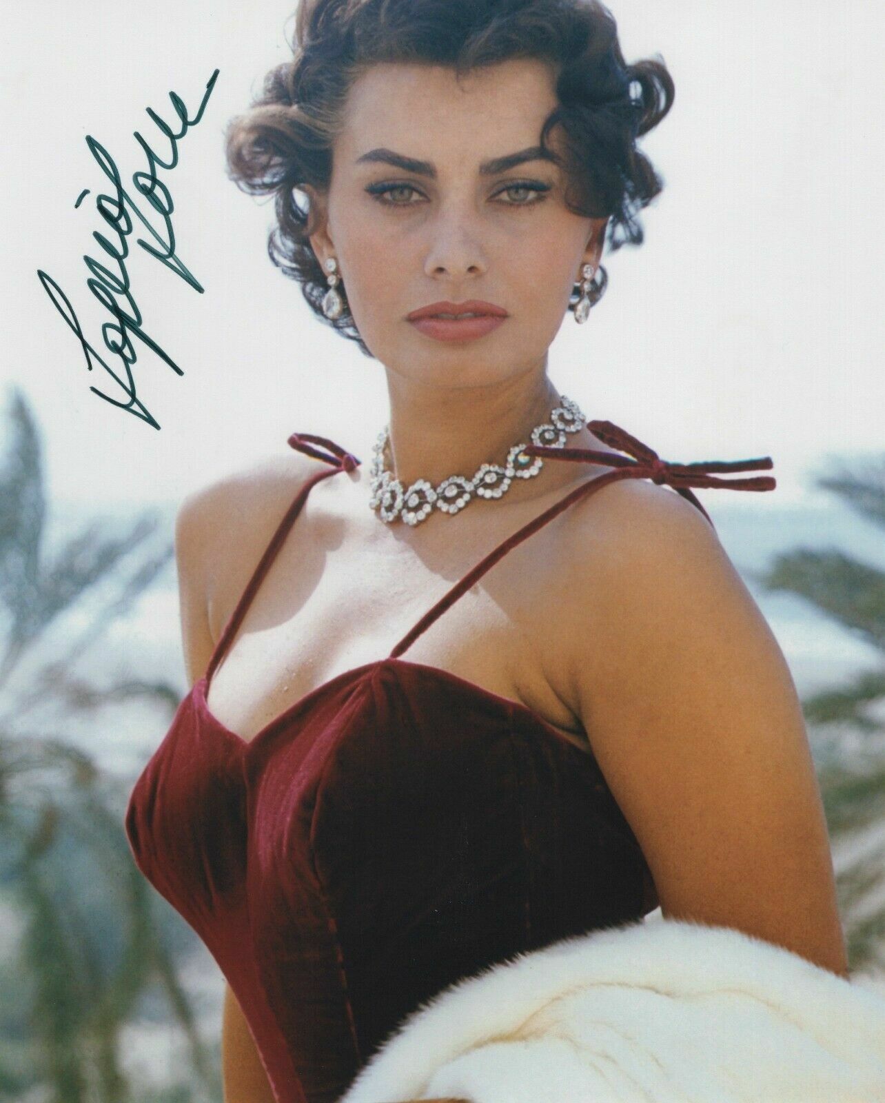 Sophia Loren Autographed Signed 8x10 Photo Poster painting ( Two Women ) REPRINT