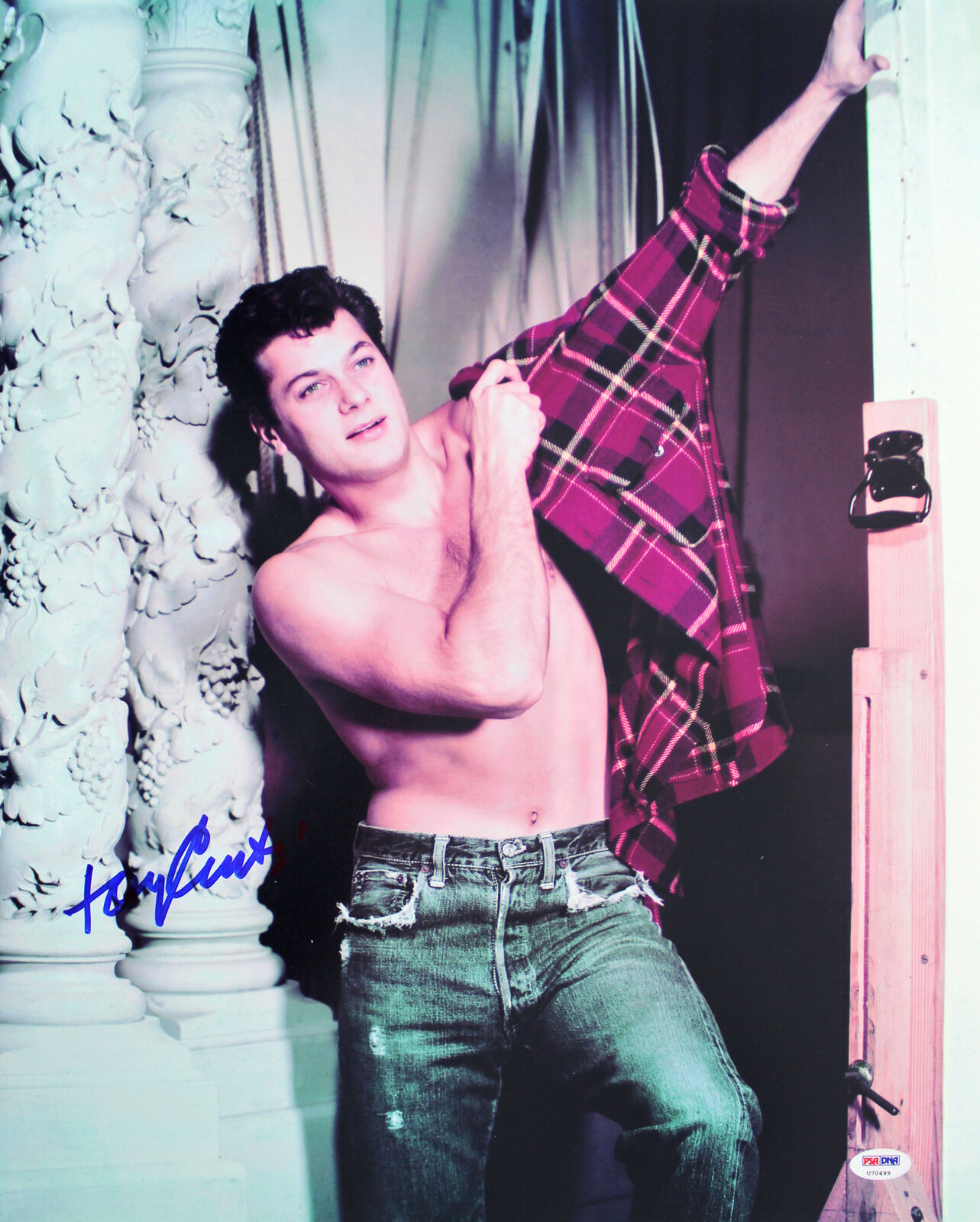 Tony Curtis Authentic Signed 16x20 Photo Poster painting Autographed PSA/DNA #U70499