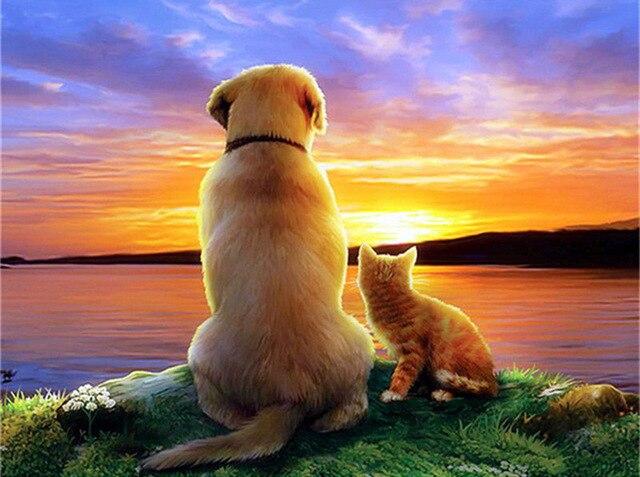 

Cat and Dog Watching The Sunset – Paint By Numbers - 40*50CM, 501 Original