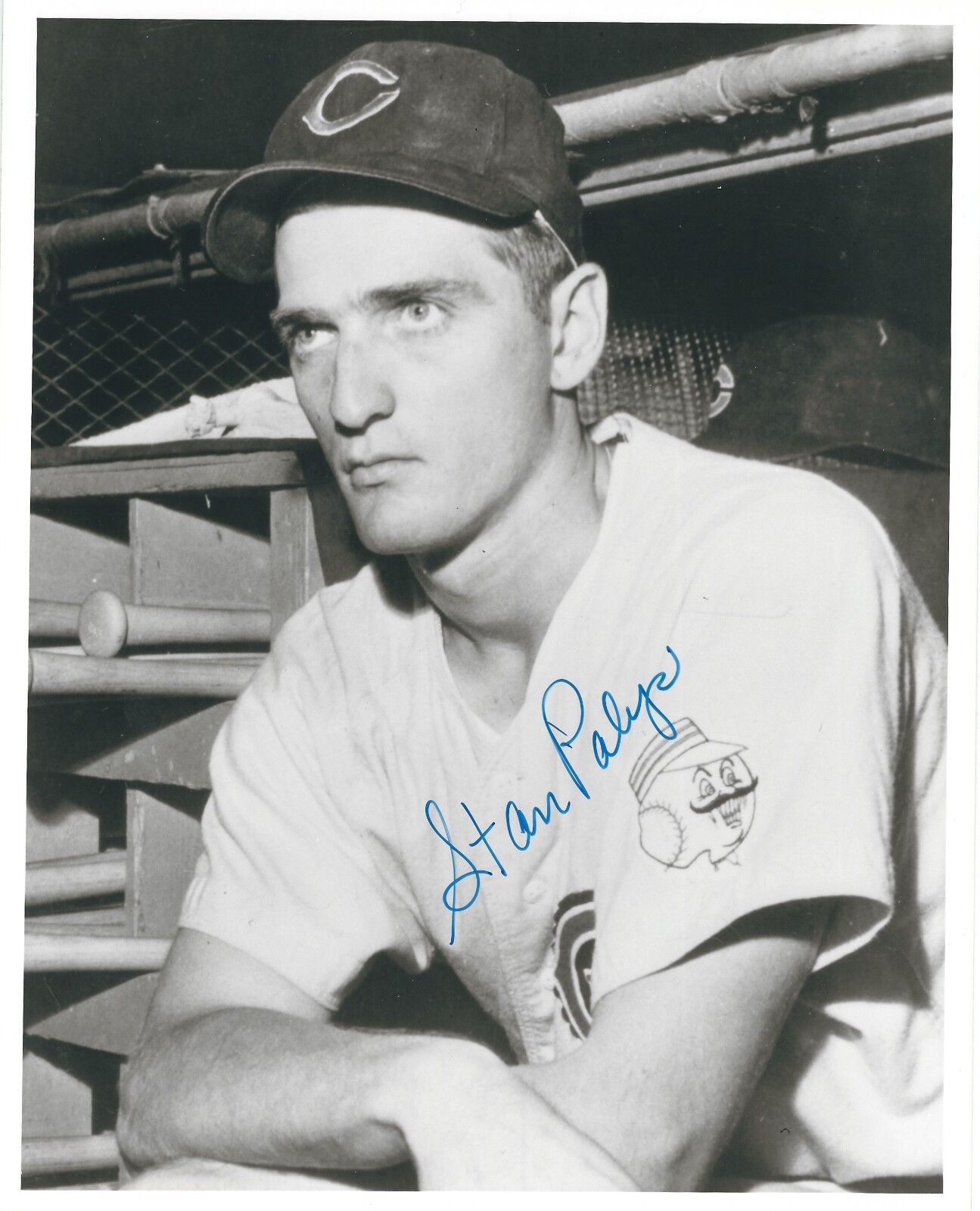 Autographed STAN PALYS Cincinnati Reds 8x10 Photo Poster painting with COA