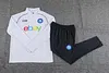 2023/2024 Napoli Half-Pull Training Suit White Football Shirt 1:1 Thai Quality Set