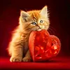 Love Dog Cat-Full Round Diamond Painting 30*30CM