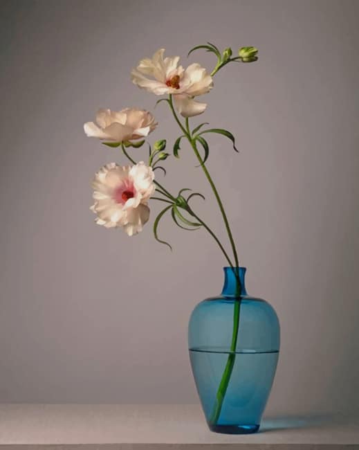 

White Flowers In A Blue Vase – Paint By Numbers - 40*50CM, 501 Original