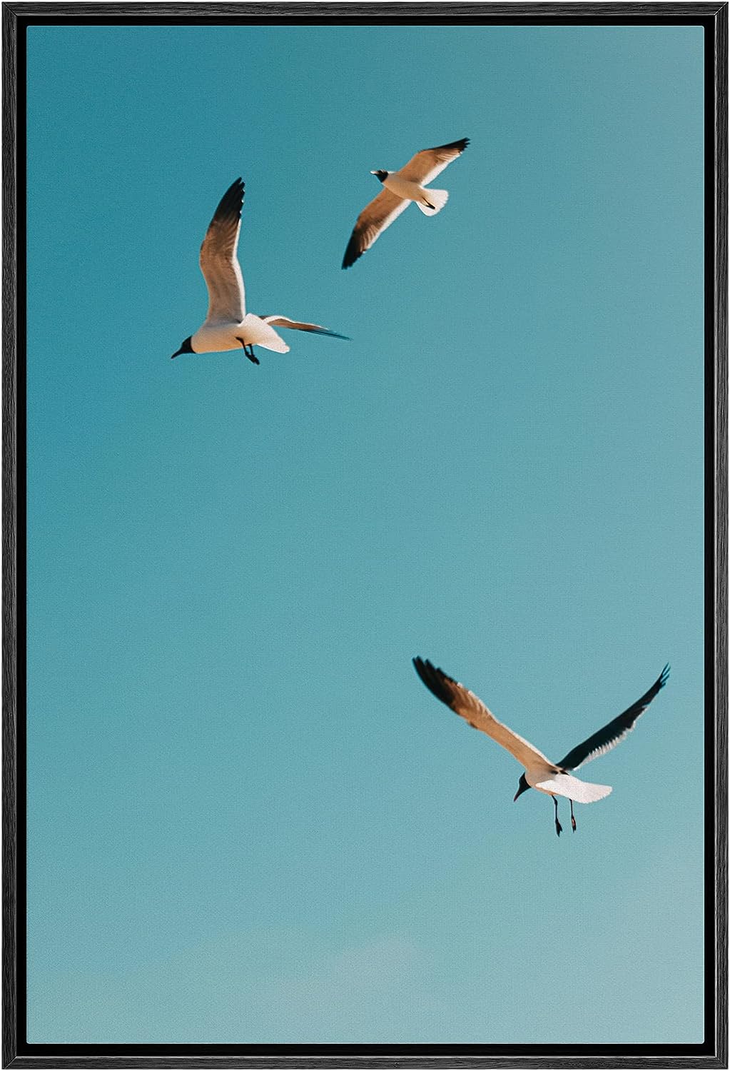 SIGNWIN Framed Canvas Wall Art Flock of Birds Beach Birds Expressive Group Living Room Multicolor Photography - 16 inch x24 inch  BLACK 16&#034; x 24&#034; BLACK