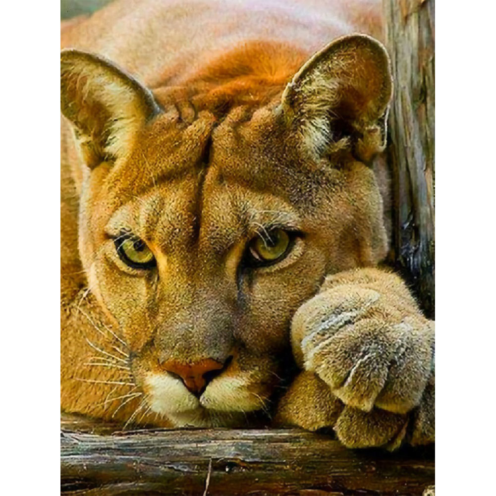 

Lion - Square Drill Diamond Painting - 50*60CM (Big Size), 501 Original
