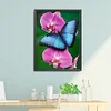 Best lowest diamond painting - Coodeals diamond painting