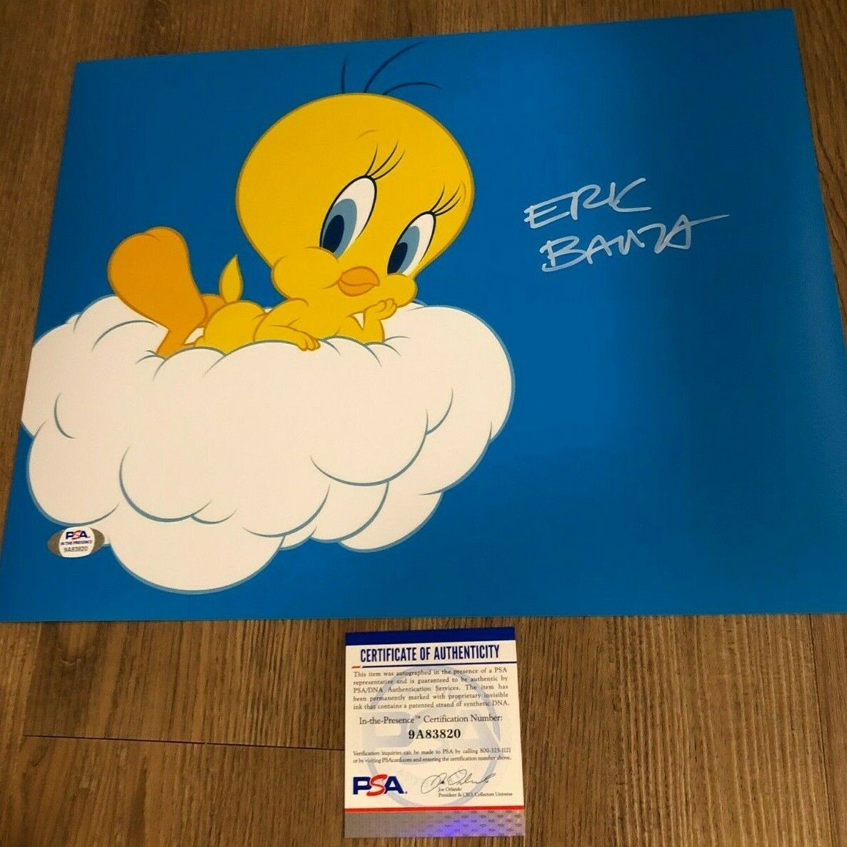 Eric Bauza Looney Tunes Tweety Bird Signed Autographed 11x14 Photo Poster painting PSA A