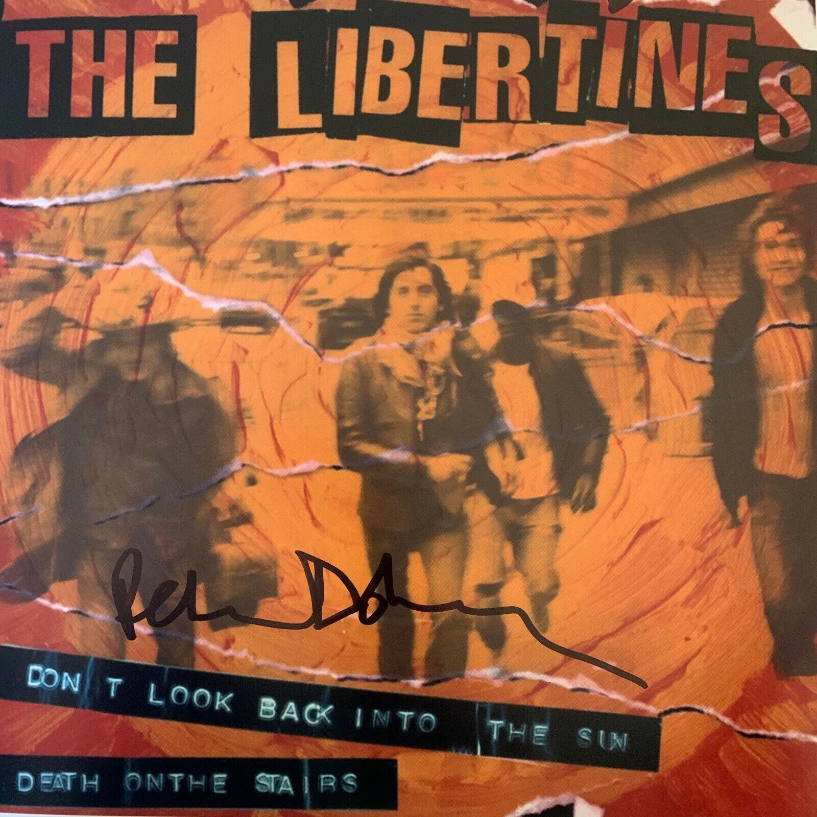 Pete Doherty Hand Signed 12x12 Photo Poster painting - The Libertines - Babyshambles 9