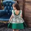 Baby Girl Flower Backless Baptism  Birthday Party Wedding Dresses 0-5T - honeylives