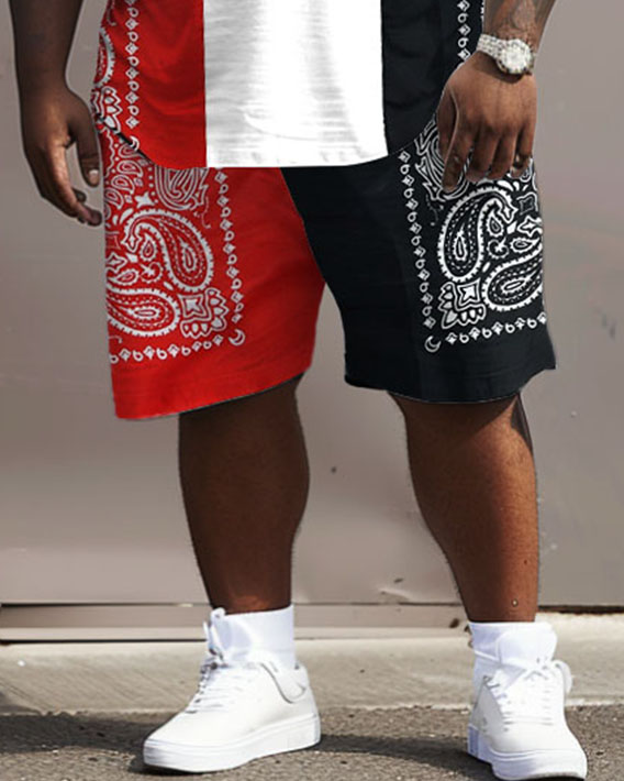 Big Men's Simple Casual Colorblock Paisley Print T-Shirt Shorts Set