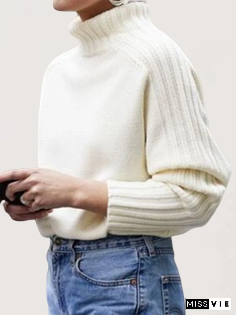 Autumn Winter Casual Basic Daily Turtleneck Knitted Sweater