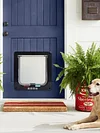 Cat Flap Door with 4 Way Security Lock Cat Dogs Flap Doors Cat Puppy Safety Gate