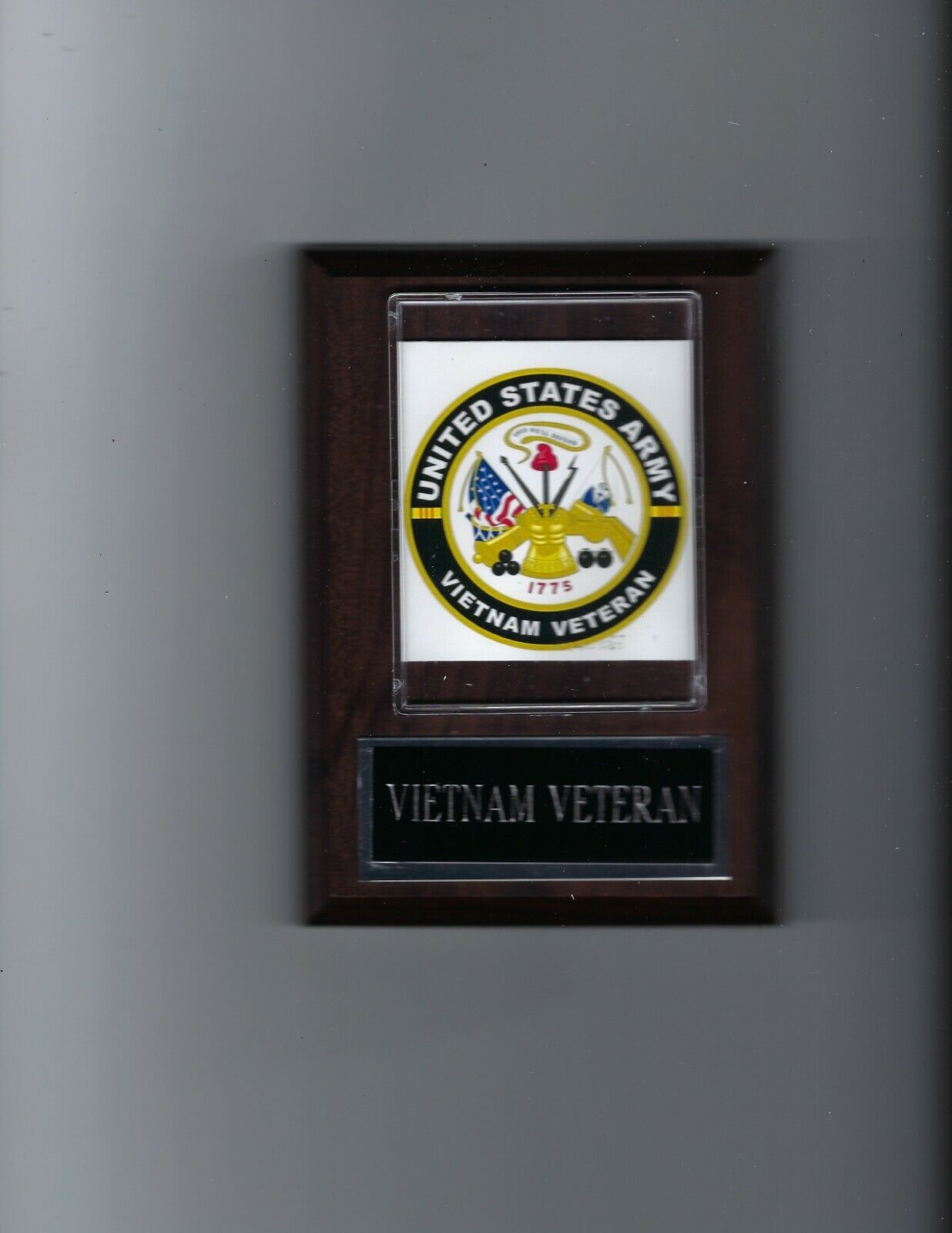 VIETNAM VETERAN Photo Poster painting PLAQUE MILITARY US USA