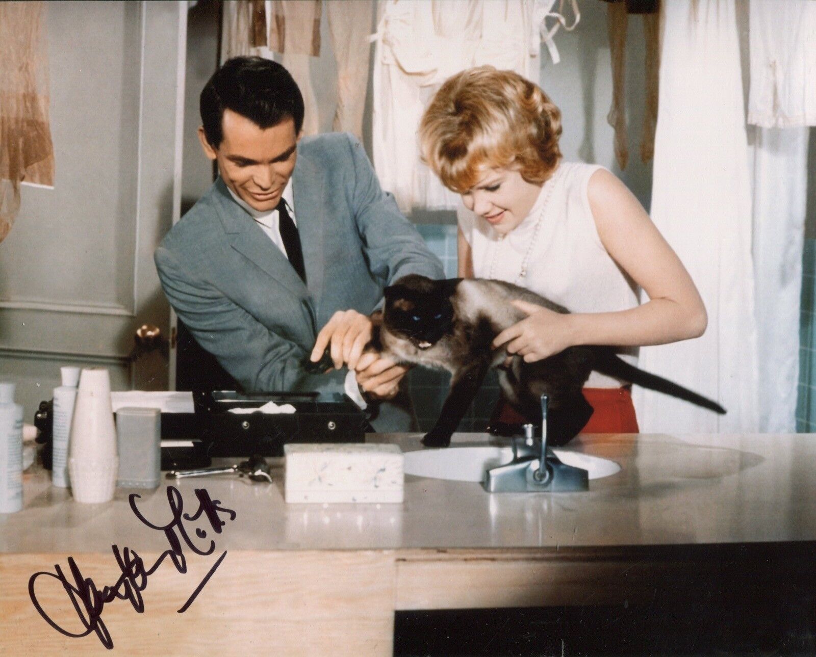 Television & Movie actress HAYLEY MILLS signed 8x10 Photo Poster painting IMAGE No3 UACC DEALER