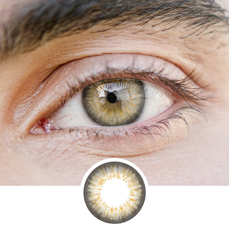 Men'Puff Brown(12 months) contact lenses