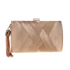 Silk Tasseled Square  Banquet Handbag
