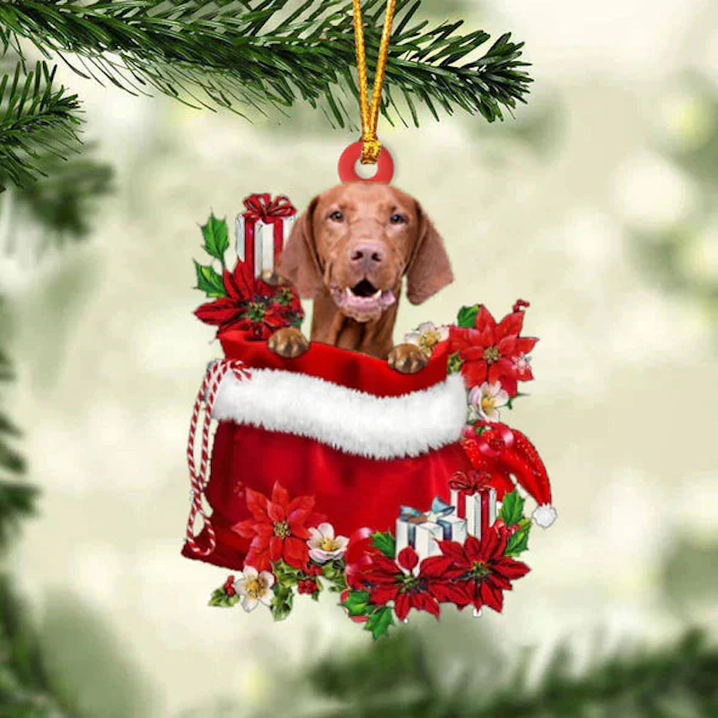 VigorDaily Vizsla In Gift Bag Christmas Ornament GB115