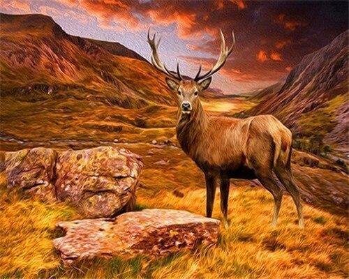

Wild Deer – Paint By Numbers - 40*50CM, 501 Original