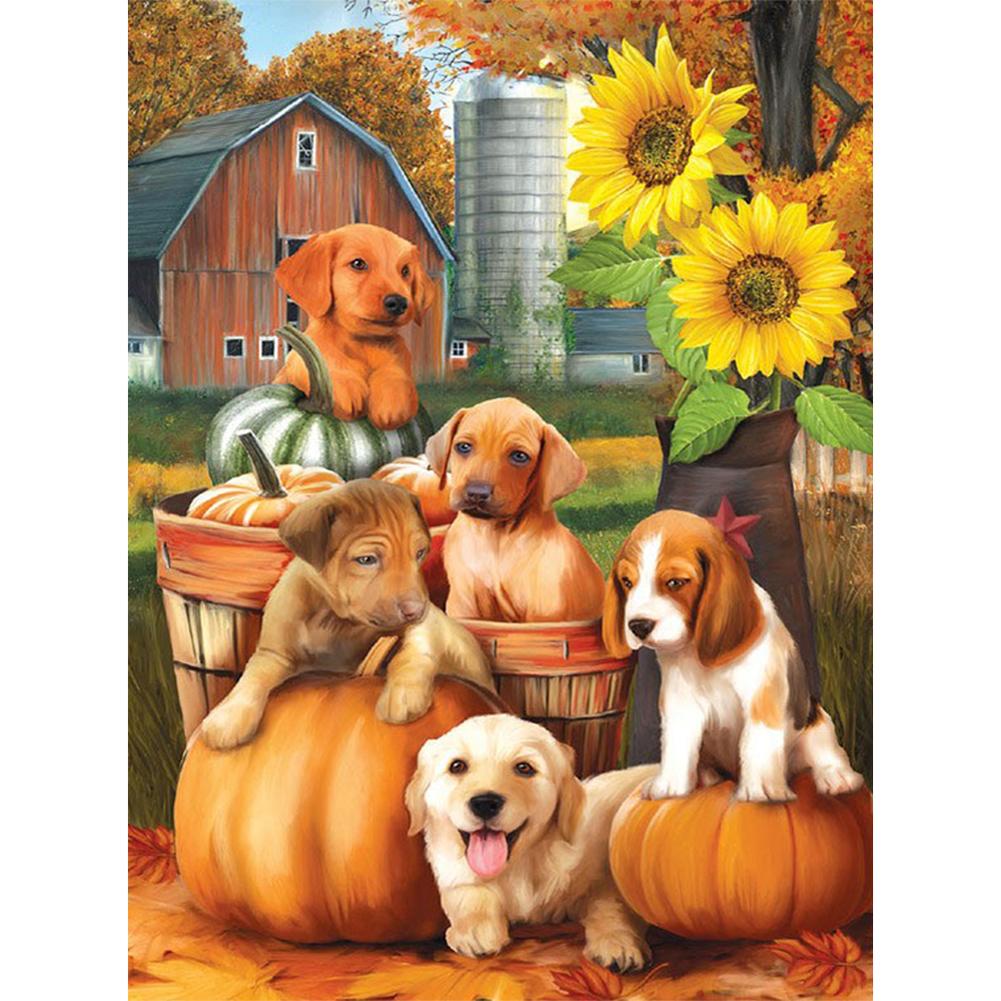 

40x50cm - Paint By Numbers Pumpkin Dog, 501 Original