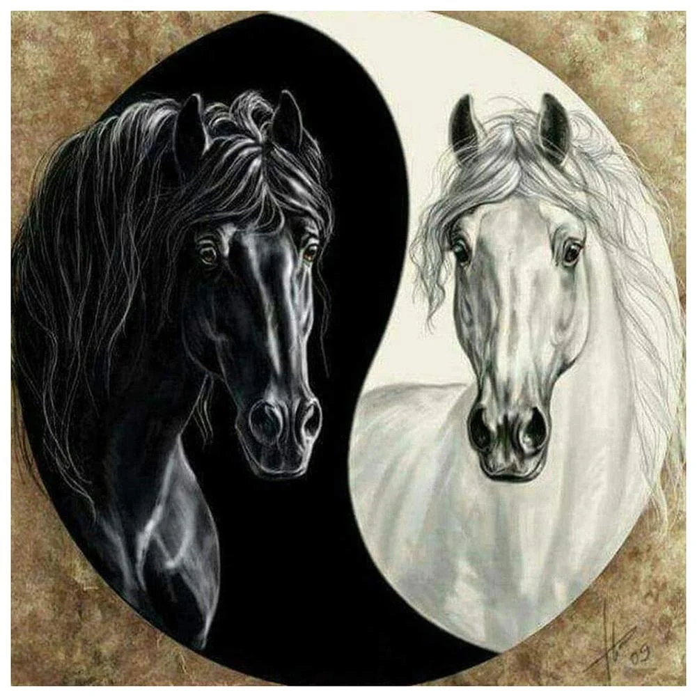 Full Round Diamond Painting Horse (30*30cm)
