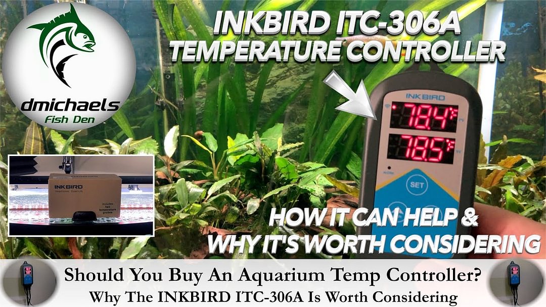 Inkbird ITC-306A WiFi Temperature Controller