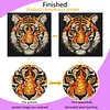 DIY Pre-Framed Tiger Button Art Canvas Kit