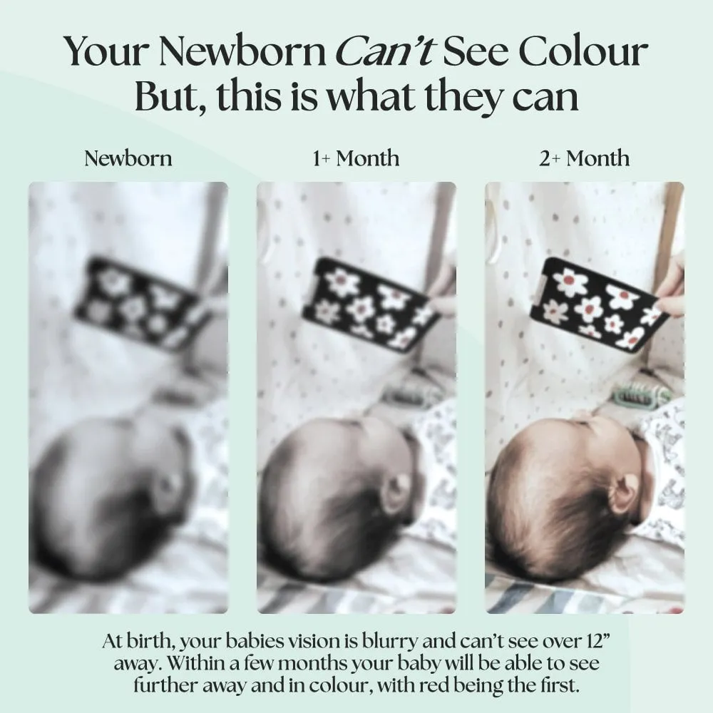 Newborn Sensory Flash Cards - 2