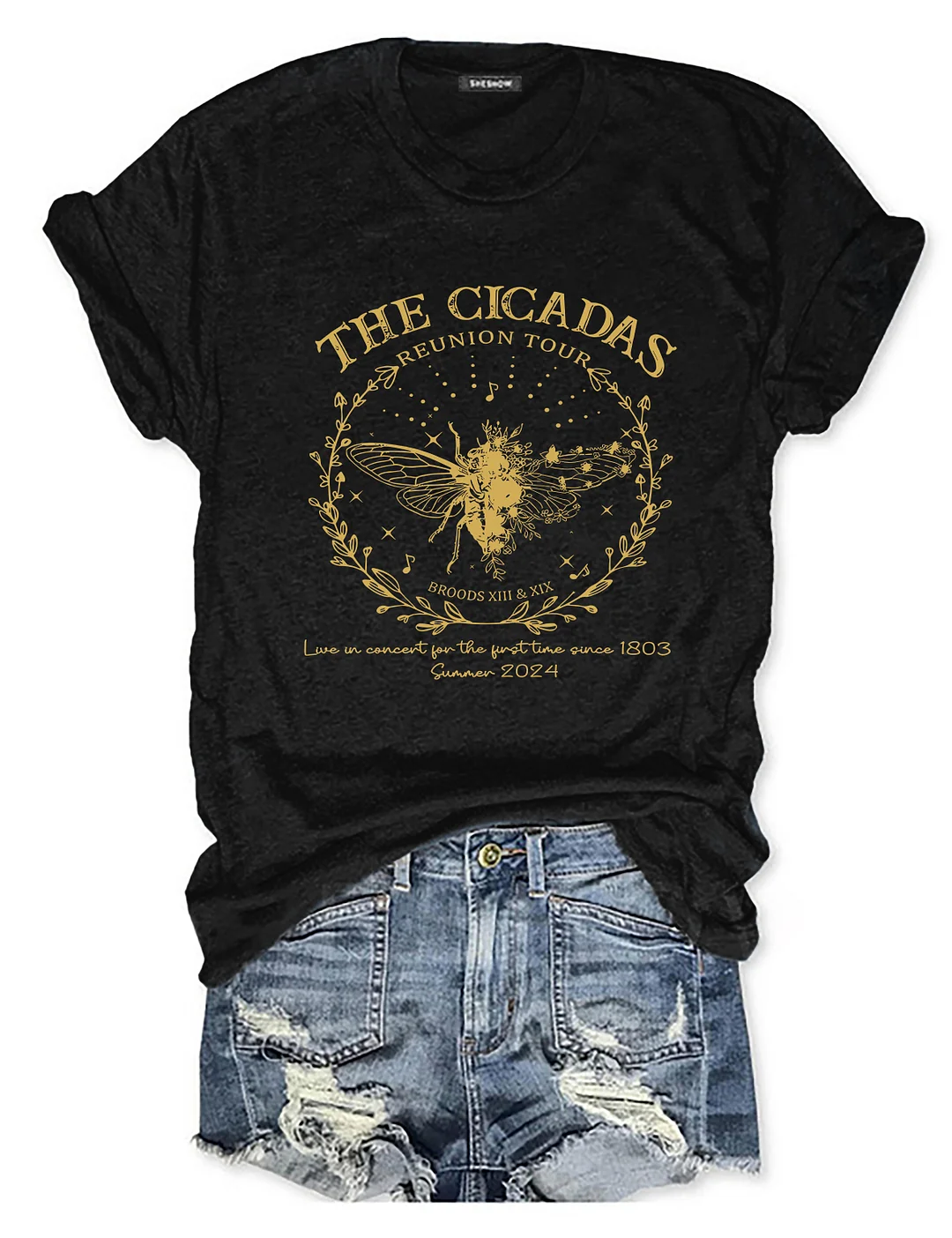 The Cicadas Reunion Tour 2024 T-shirt