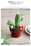 DIY Handmade Twist Stick Craft Small Potted Plants Chenille Stems Craft Pipe Cleaners Gift Decor Set