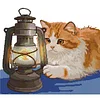 Orange Cat and Kerosene Lamp Partial Stamped Cross Stitch Kit 14CT 2 Strands 42x38cm