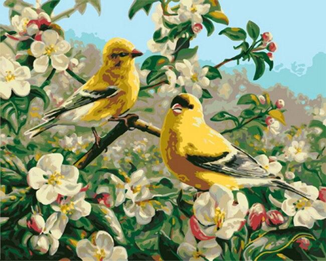 

Goldfinch Bird – Paint By Numbers - 40*50CM, 501 Original