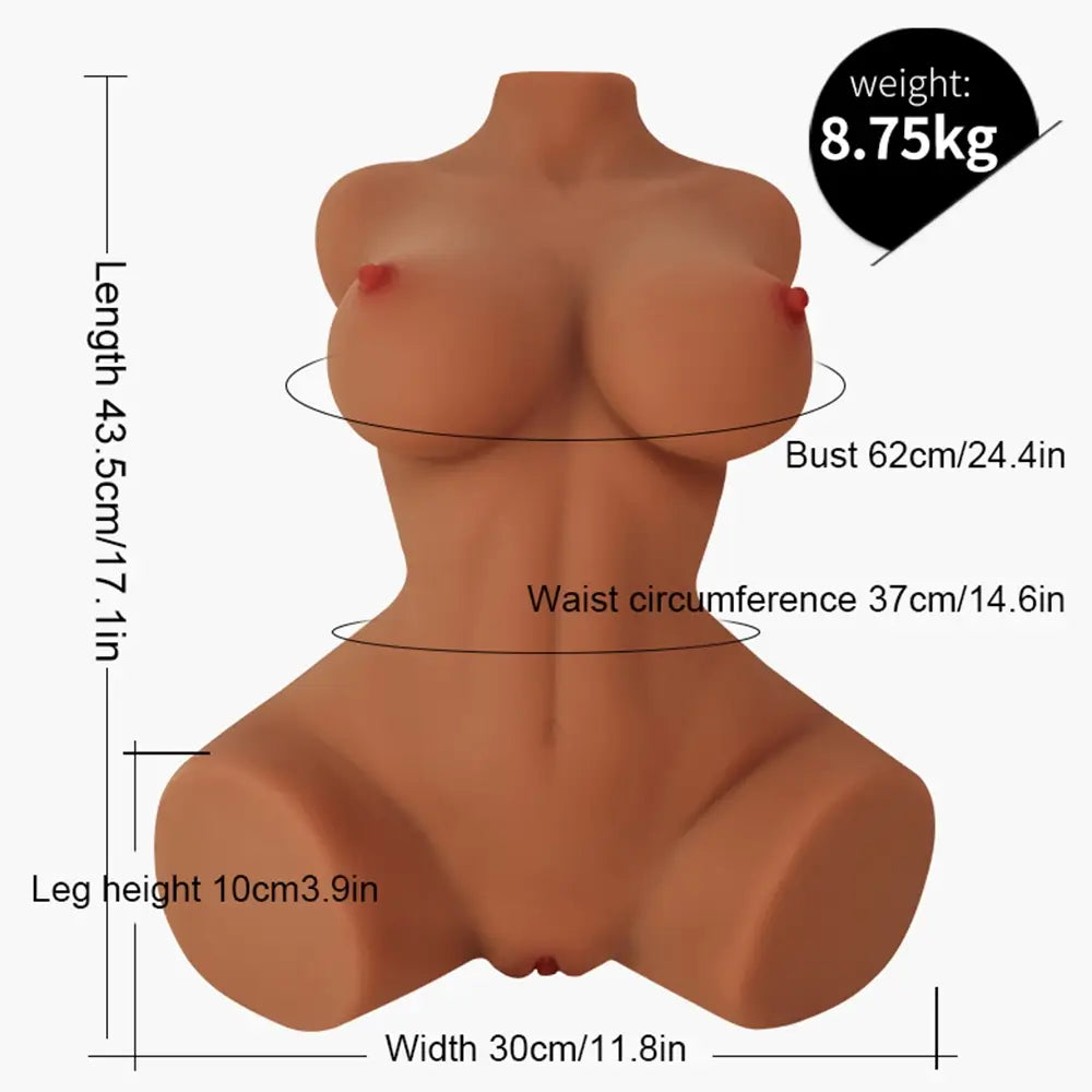 Daisy 19.29LB Lifelike Female Torso