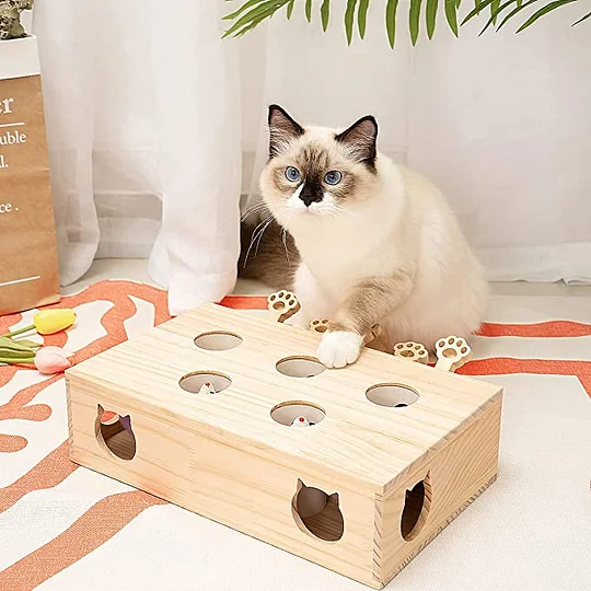 Wooden Whac-A-Mole Toy for Cat | Robotime Online