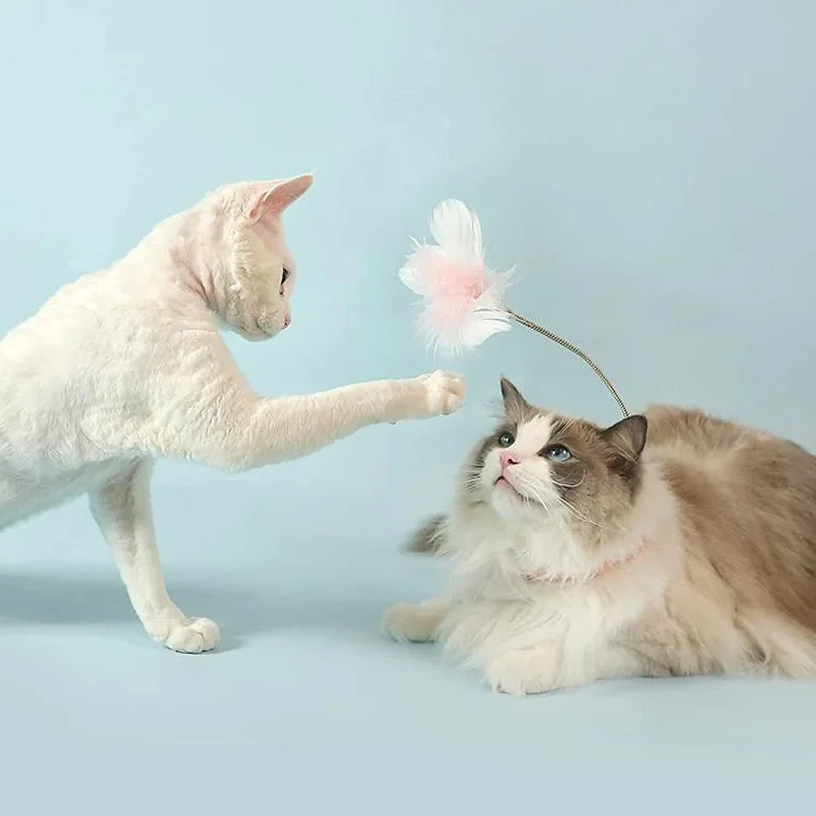 Waltleather Creativity Feather Interactive Cat Self-entertainment Toys