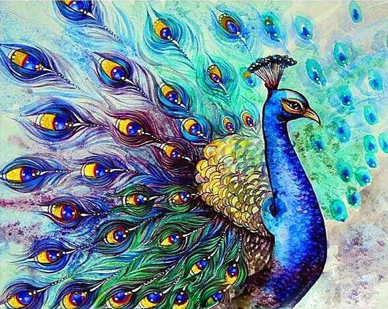 

Colorful Peacock – Birds Paint By Numbers - 40*50CM, 501 Original