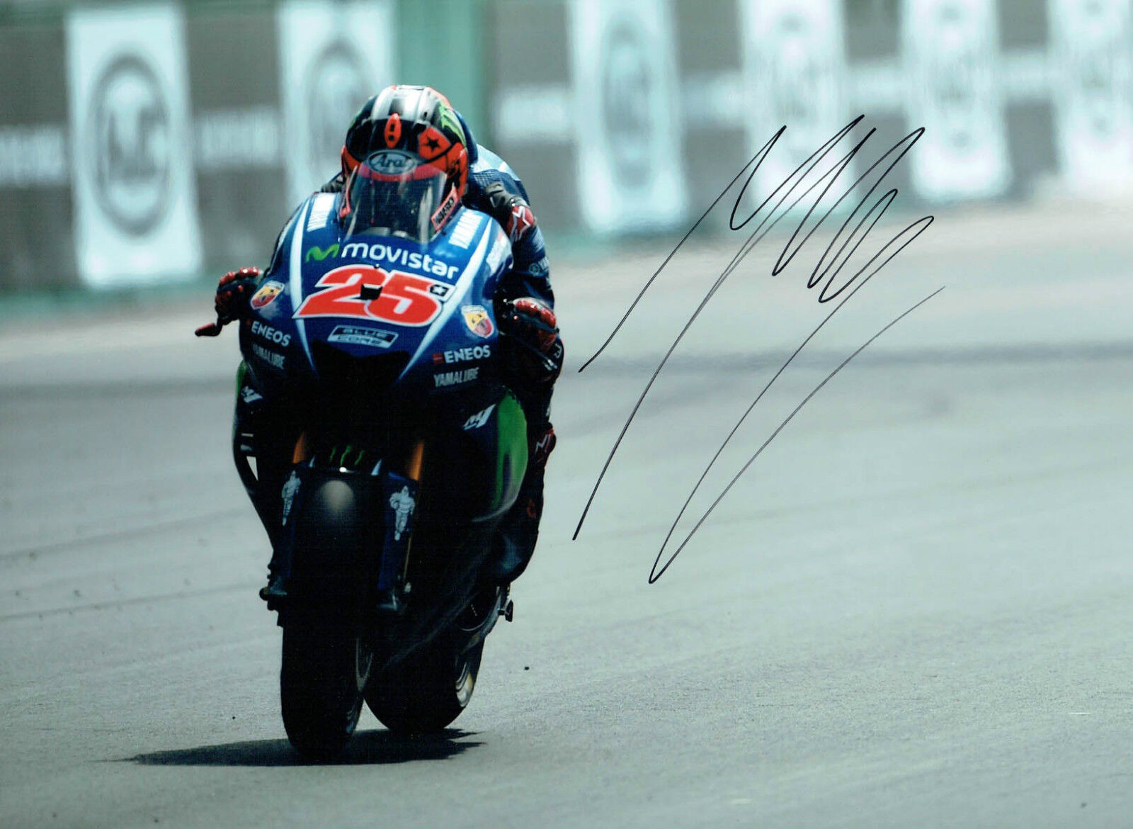 Maverick VINALES 16X12 SIGNED MOTOGP Autograph Yamaha 2017 Photo Poster painting C AFTAL COA