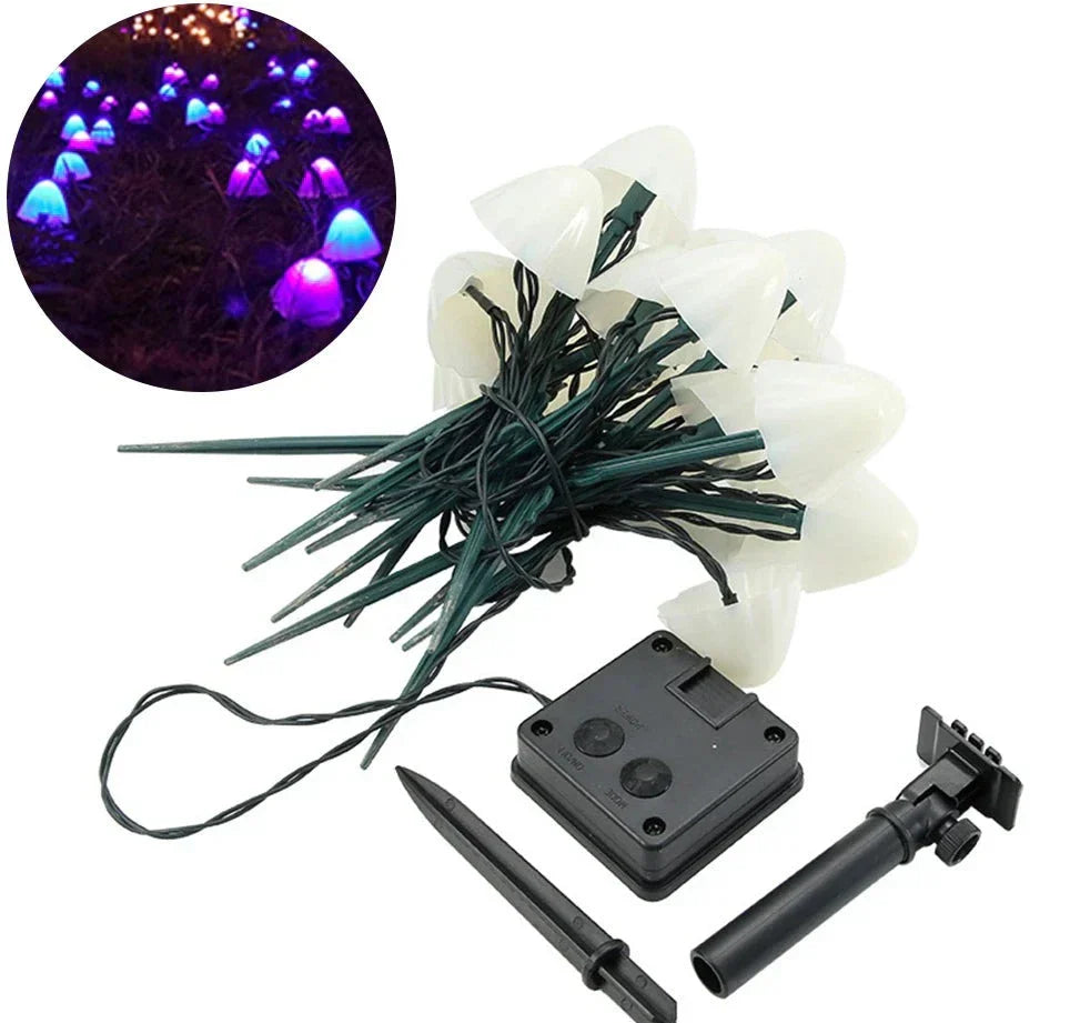 MushBright Accessoires