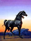 Horse | Full Round/square Diamond Painting Kits | 50x70cm