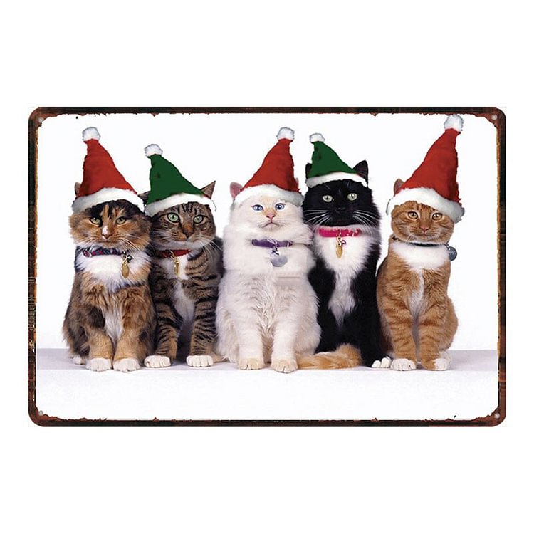 Christmas Cat - Vintage Tin Signs/Wooden Signs - 7.9x11.8in & 11.8x15.7in