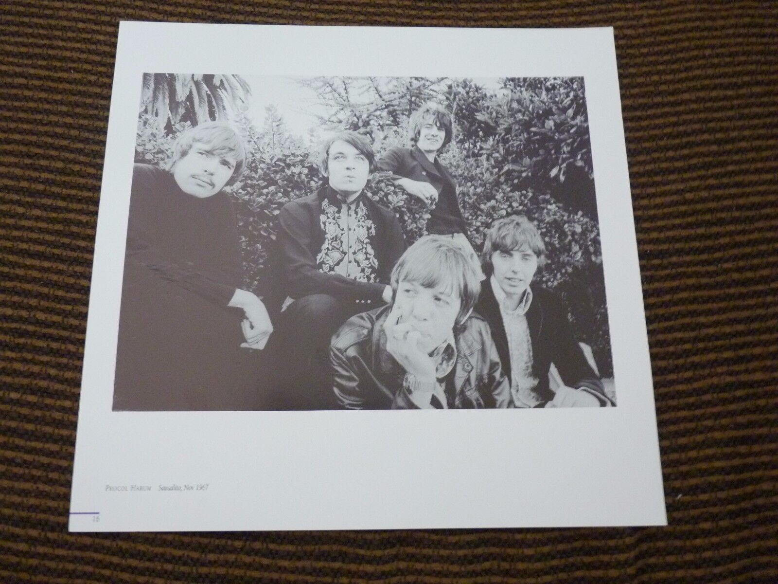 Single Page 2 Sided Procol Harum Steve Miller Band Coffee Table Book Photo Poster painting