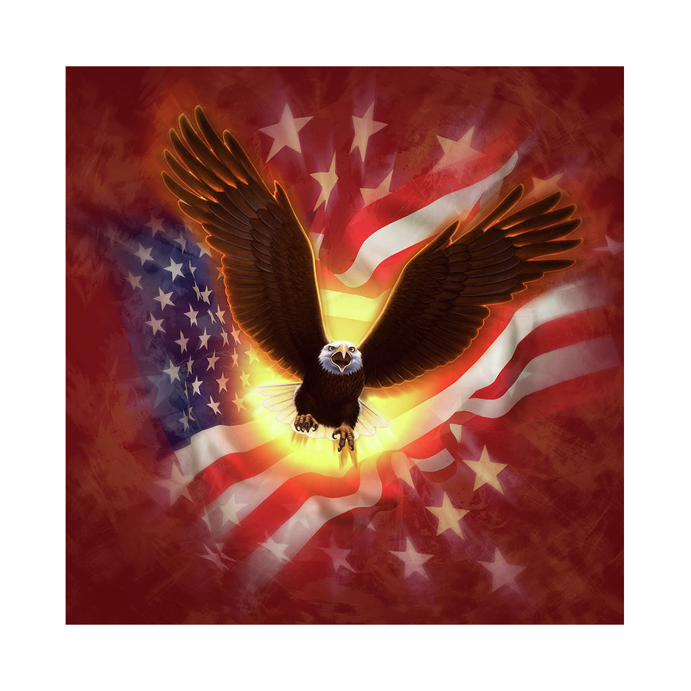 

30*30CM - Round Drill Diamond Painting - Flag Eagle, 501 Original