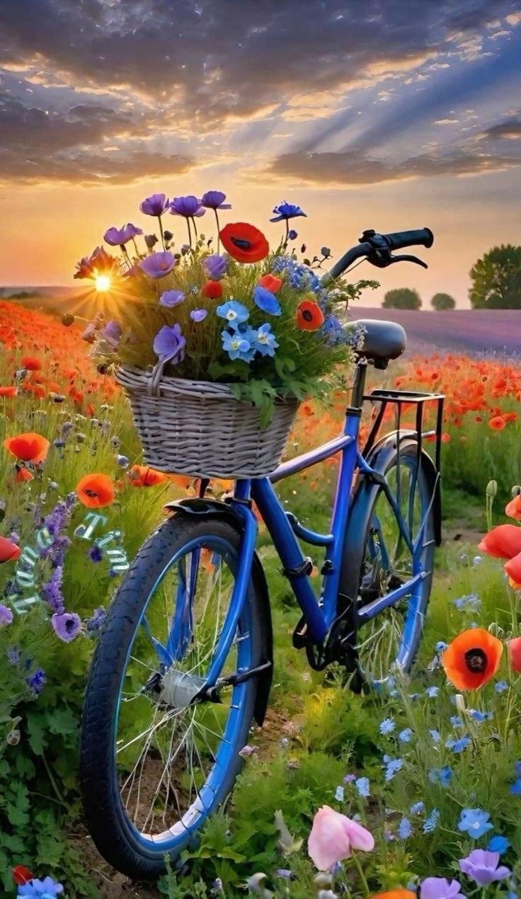 DIY Painting By Numbers Bike 40*70cm