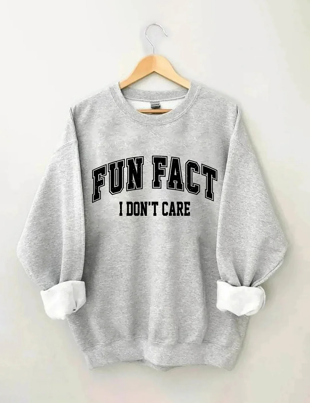 Fun Fact I Don't Care Sweatshirt