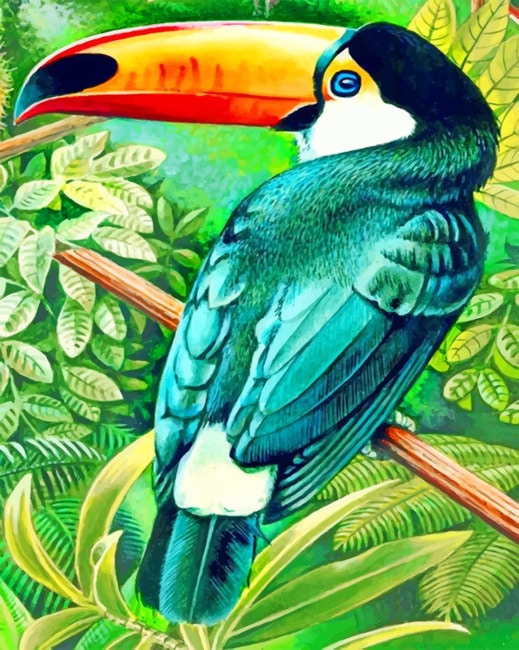 

Aesthetic Puffin – Paint By Numbers - 40*50CM, 501 Original