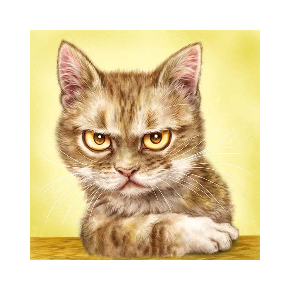 

Cute Cat - Round Drill Diamond Painting 30*30CM, Square diamond 30*30cm, 501 Original
